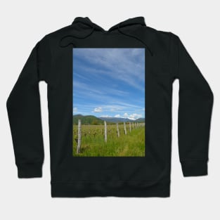 Spring Landscape Near Cividale del Friuli Hoodie